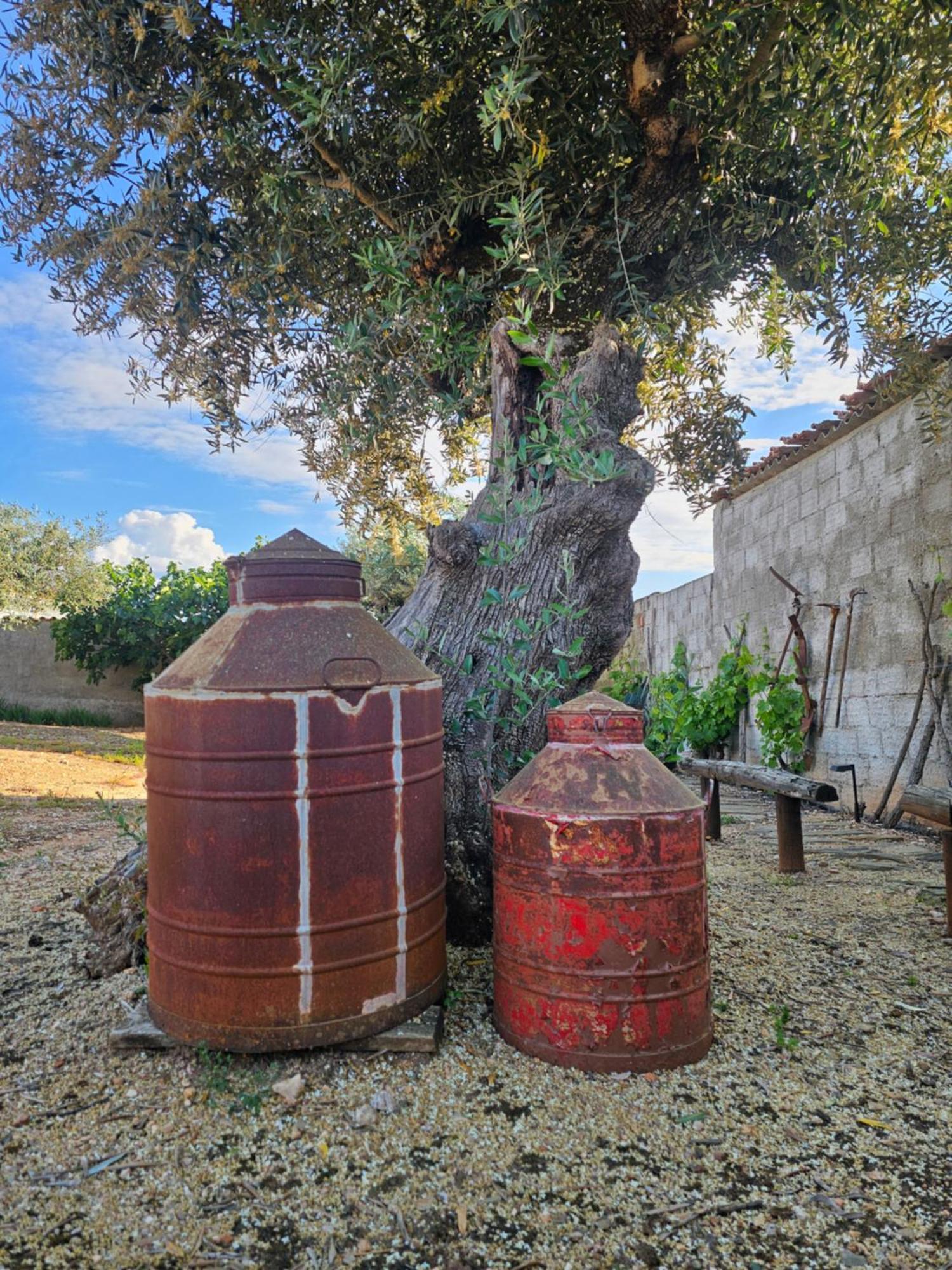 Russa Al Villa Lentiscais Dış mekan fotoğraf
